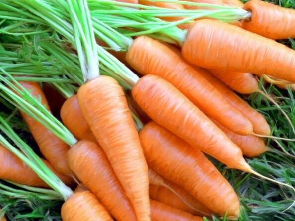 Carrots and carrot oil rejuvenate the skin